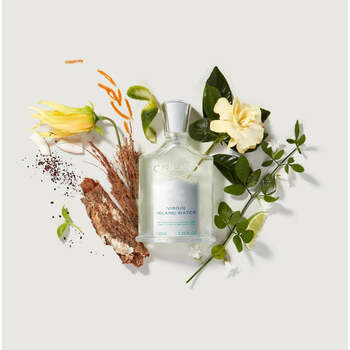  Virgin Island Water EDP